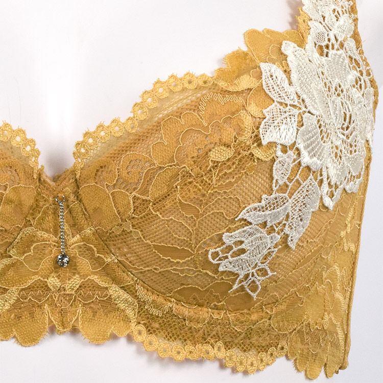 intesucre「アンテシュクレ 脇高ブラ Premium ブラセット B-D/65-80 IBT326」|インナー|