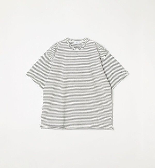 SHIPS any「SHIPS any: マイクロボーダー ミニ裏毛 ライト スウェット ライク Tシャツ◇」|Tシャツ・カットソー|