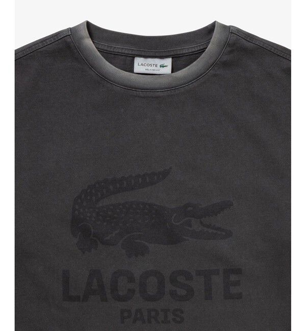 LACOSTE「ヴィンテージエフェクト ロゴTシャツ」|Tシャツ・カットソー|