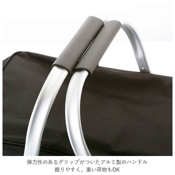 BACKYARD FAMILY「保冷バスケット おしゃれ 通販 保冷バッグ 大容量 丈夫 クーラーバスケット お弁当」|エコバッグ|