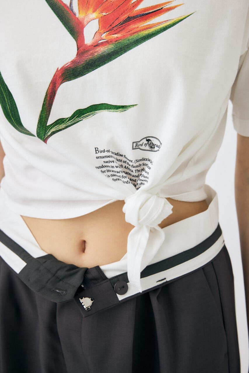 MOUSSY「ASYMMETRY フラワー TEE」|Tシャツ・カットソー|