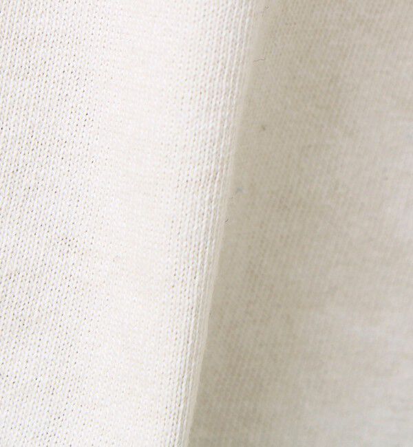 GLOSTER「【あの名作をオマージュ】犬猫実写風プリントTシャツ」|Tシャツ・カットソー|