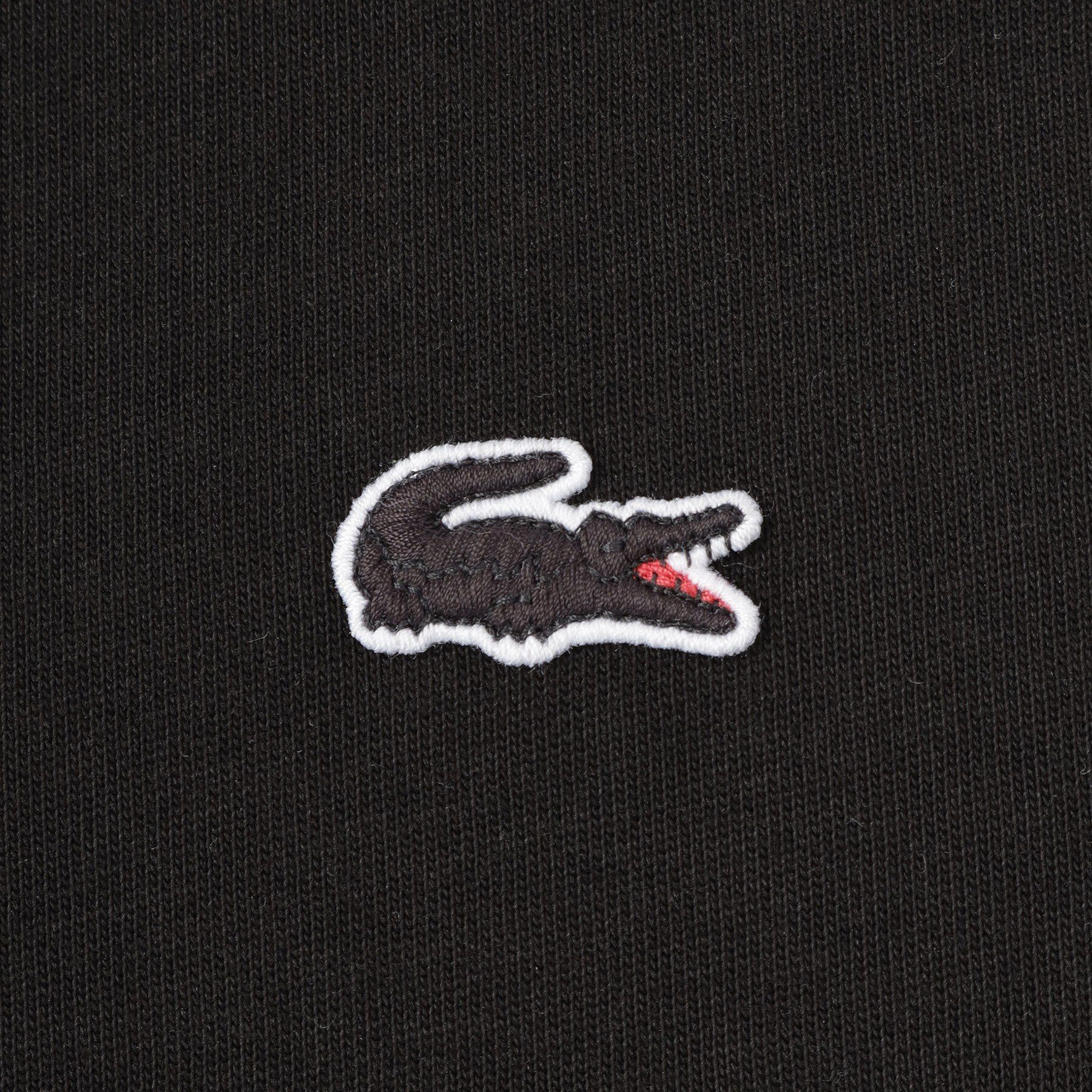 DRESSTERIOR「LACOSTE（ラコステ）アウトラインクロッククルーネックTシャツ」|Tシャツ・カットソー|