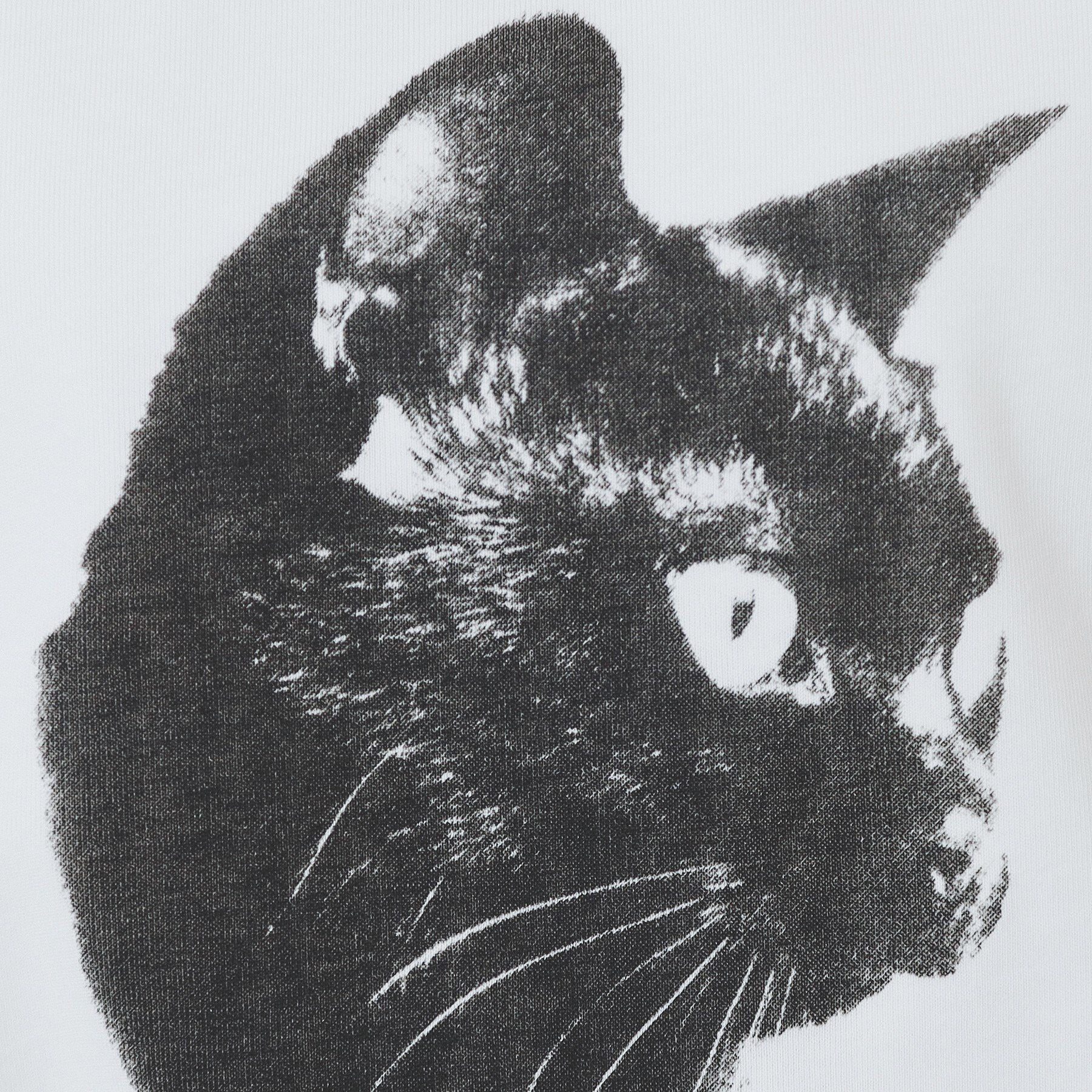 index「ねこプリントTシャツ【洗濯機洗い可】」|Tシャツ・カットソー|