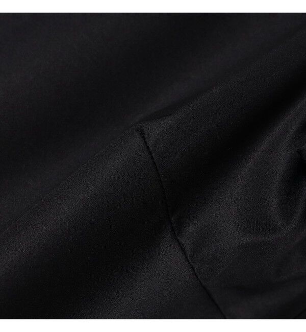 Demi-Luxe BEAMS 「グログラン カラー ブラウス」|シャツ・ブラウス|