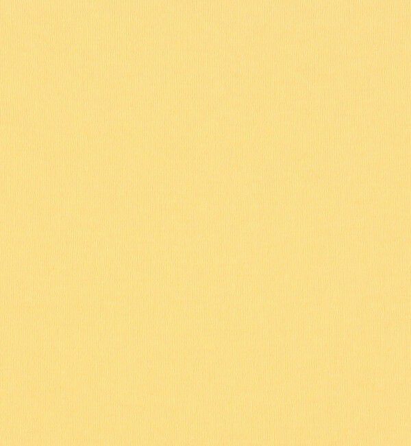 Edition「キョウネンフライス ハーフスリーブトップス」|Tシャツ・カットソー|