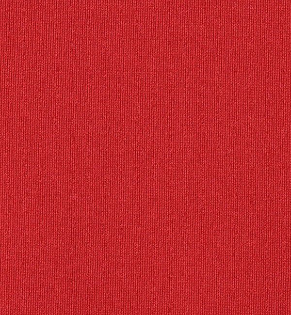 Edition「【WEB先行予約】コットンモダール フライス ポロ」|ポロシャツ|