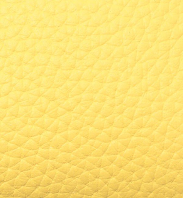 TOMORROWLAND GOODS「【別注】VASIC BOND MINI MINI STUDS バッグ」|その他|