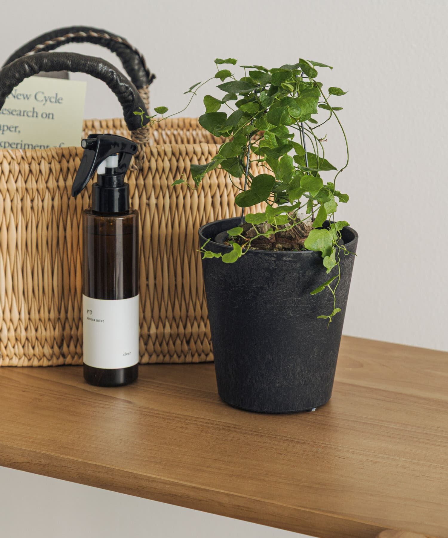 URBAN RESEARCH DOORS「amabro　ART STONE SSS BK」|フィギュア・ホビー|