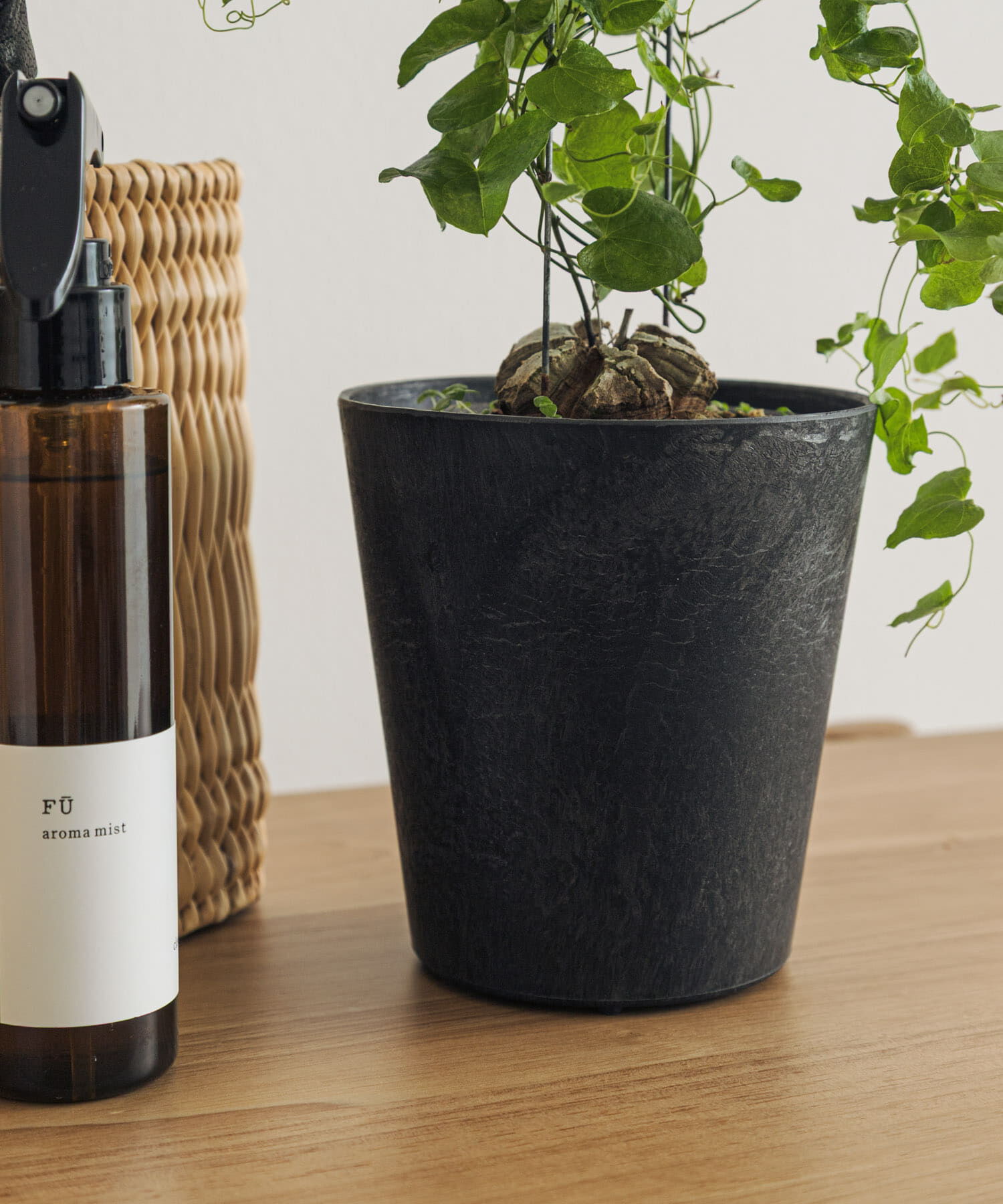 URBAN RESEARCH DOORS「amabro　ART STONE SSS BK」|フィギュア・ホビー|