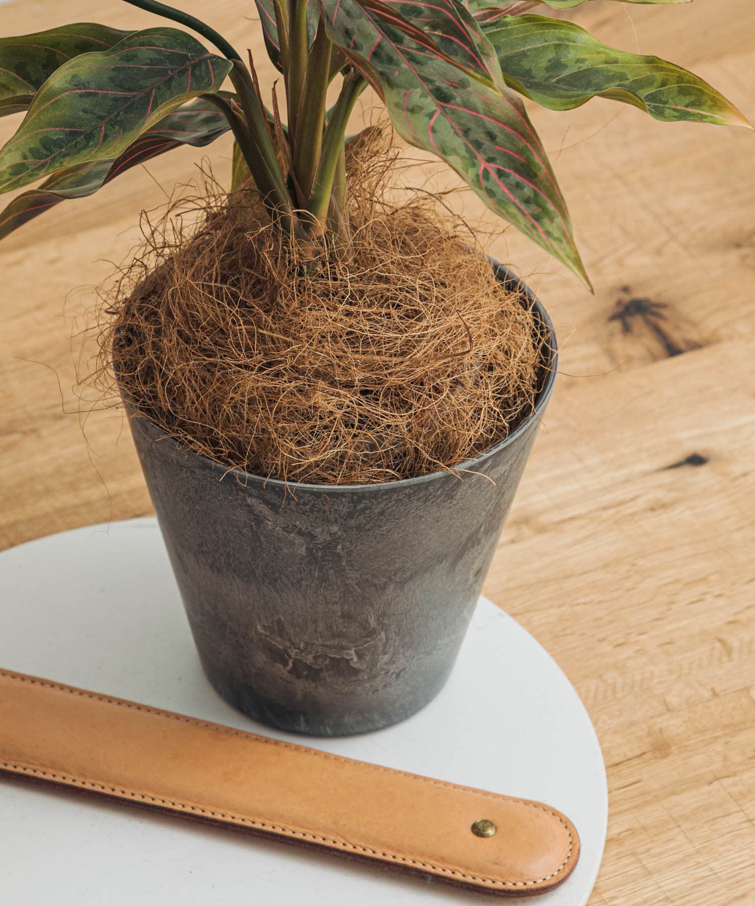 URBAN RESEARCH DOORS「amabro　ART STONE SS GY」|フィギュア・ホビー|