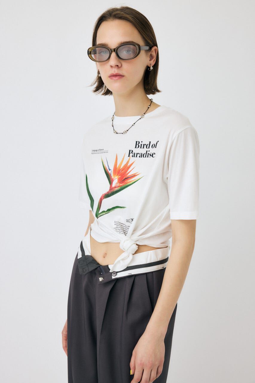 MOUSSY「ASYMMETRY フラワー TEE」|Tシャツ・カットソー|