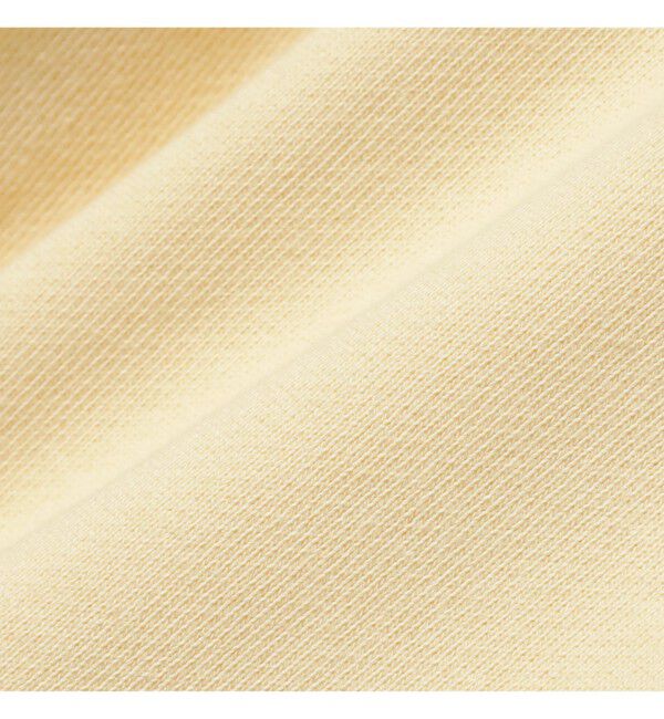 BEAMS PLUS「ハーフジップ スウェット フーディ」|スウェット・ジャージ|