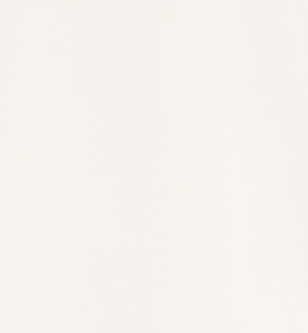 Ballsey「Cherie スクエア＆Vネックフロンタブルブラウス」|シャツ・ブラウス|