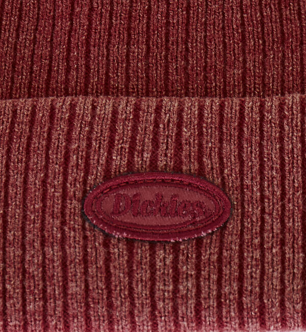 ABAHOUSE「【Dickies / ディッキーズ】EX CIRCLE LOGO PIGMENT」|その他|