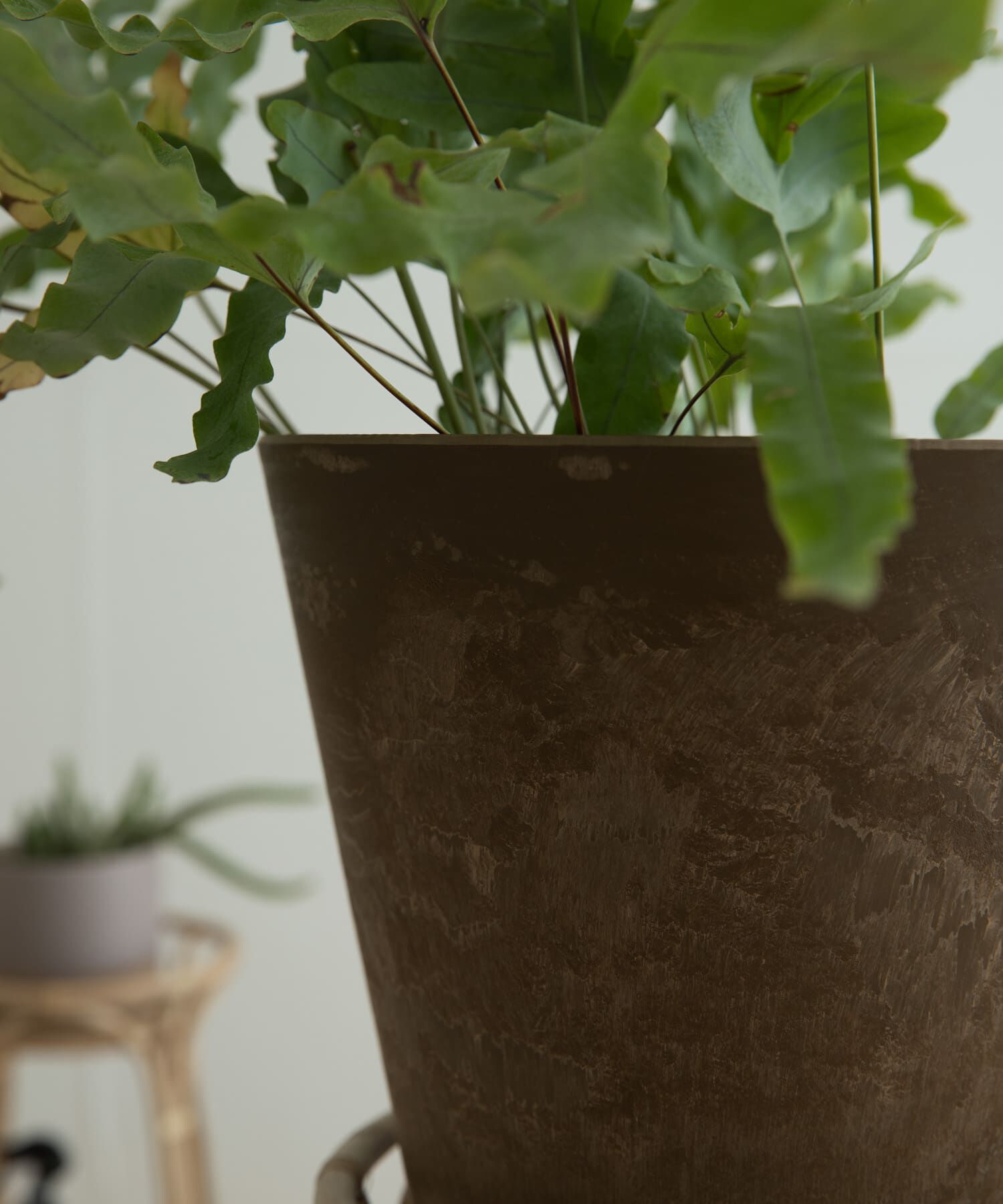 URBAN RESEARCH DOORS「『WEB限定』amabro　ART STONE M」|フィギュア・ホビー|