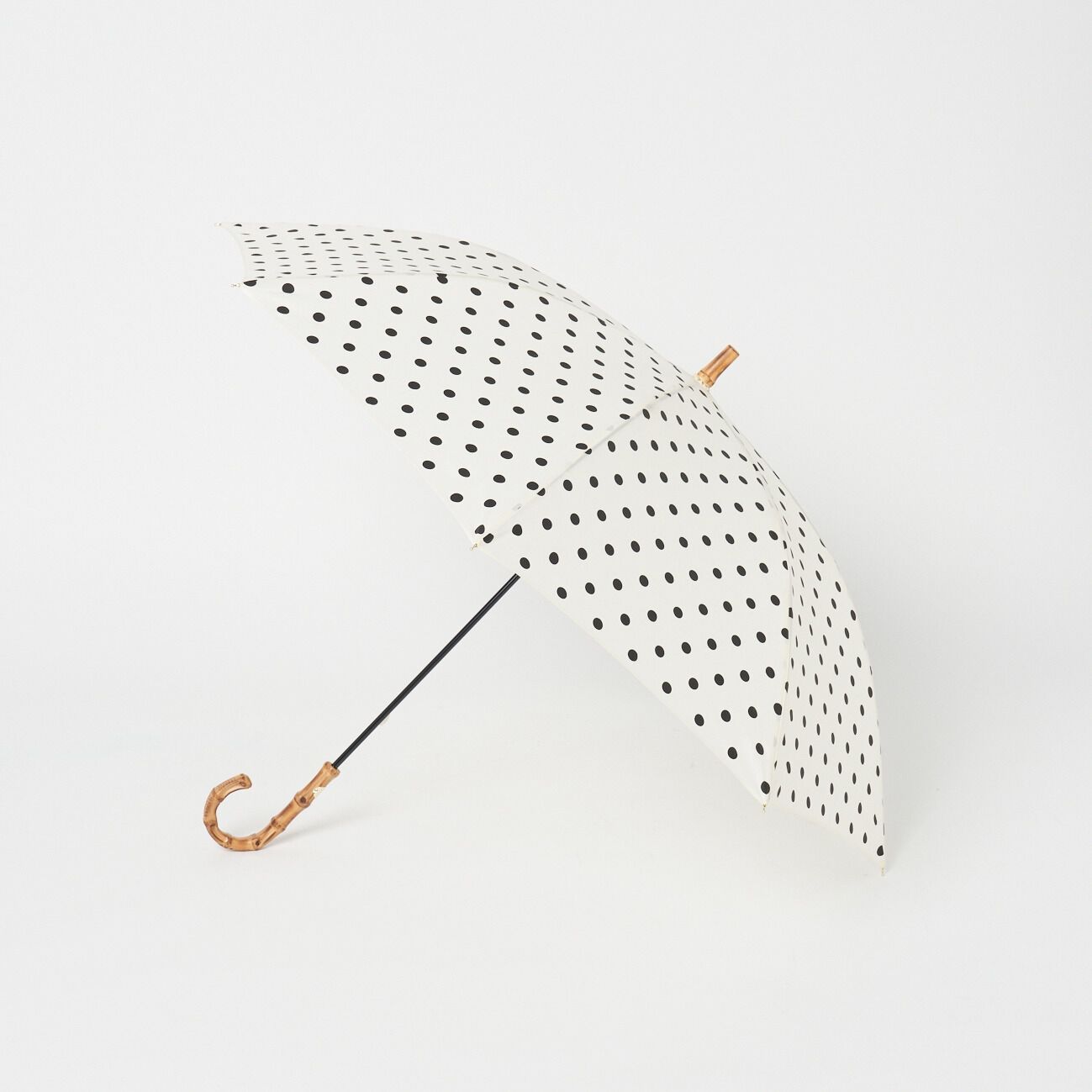 Traditional Weatherwear「Traditional Weatherwear TWW UMBRELLA BAMBOO DOT」|傘|アイボリー