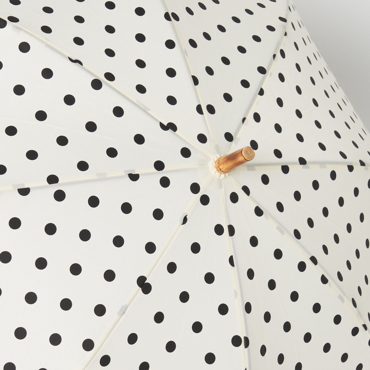 Traditional Weatherwear「Traditional Weatherwear TWW UMBRELLA BAMBOO DOT」|傘|