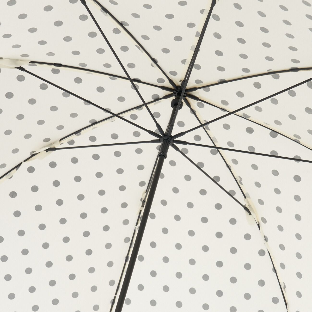 Traditional Weatherwear「Traditional Weatherwear TWW UMBRELLA BAMBOO DOT」|傘|