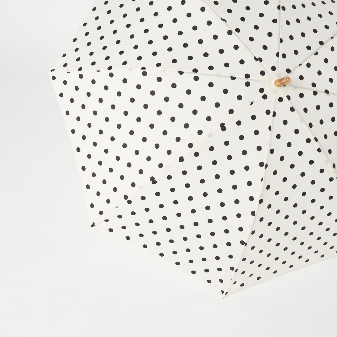Traditional Weatherwear「Traditional Weatherwear TWW UMBRELLA BAMBOO DOT」|傘|