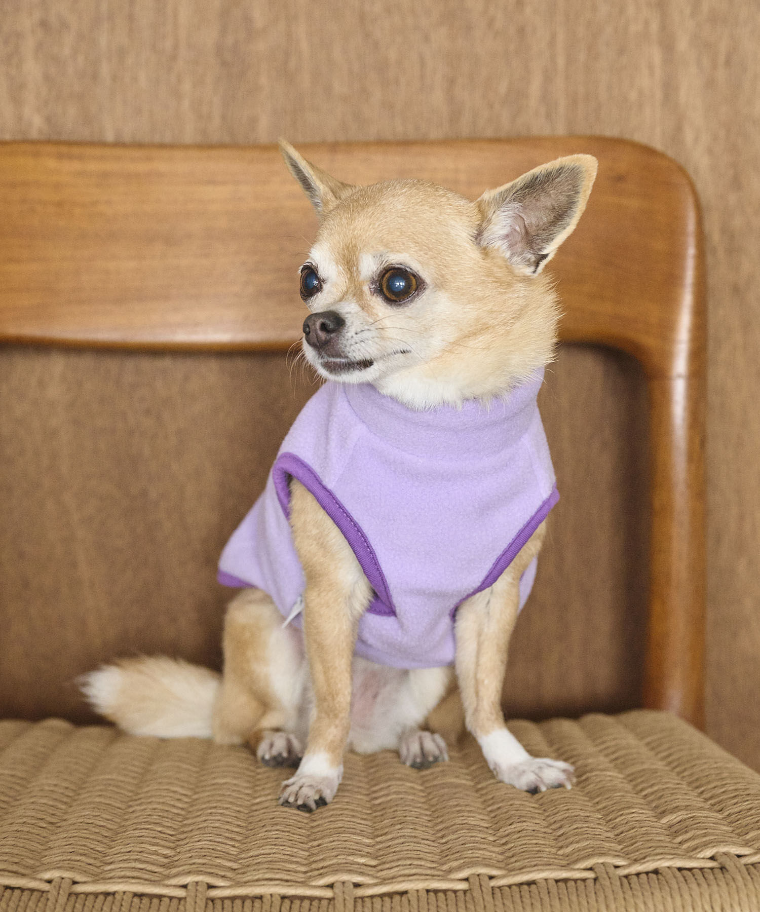 ROPE PICNIC PASSAGE「【DOG】カラーフリースベスト」|その他|