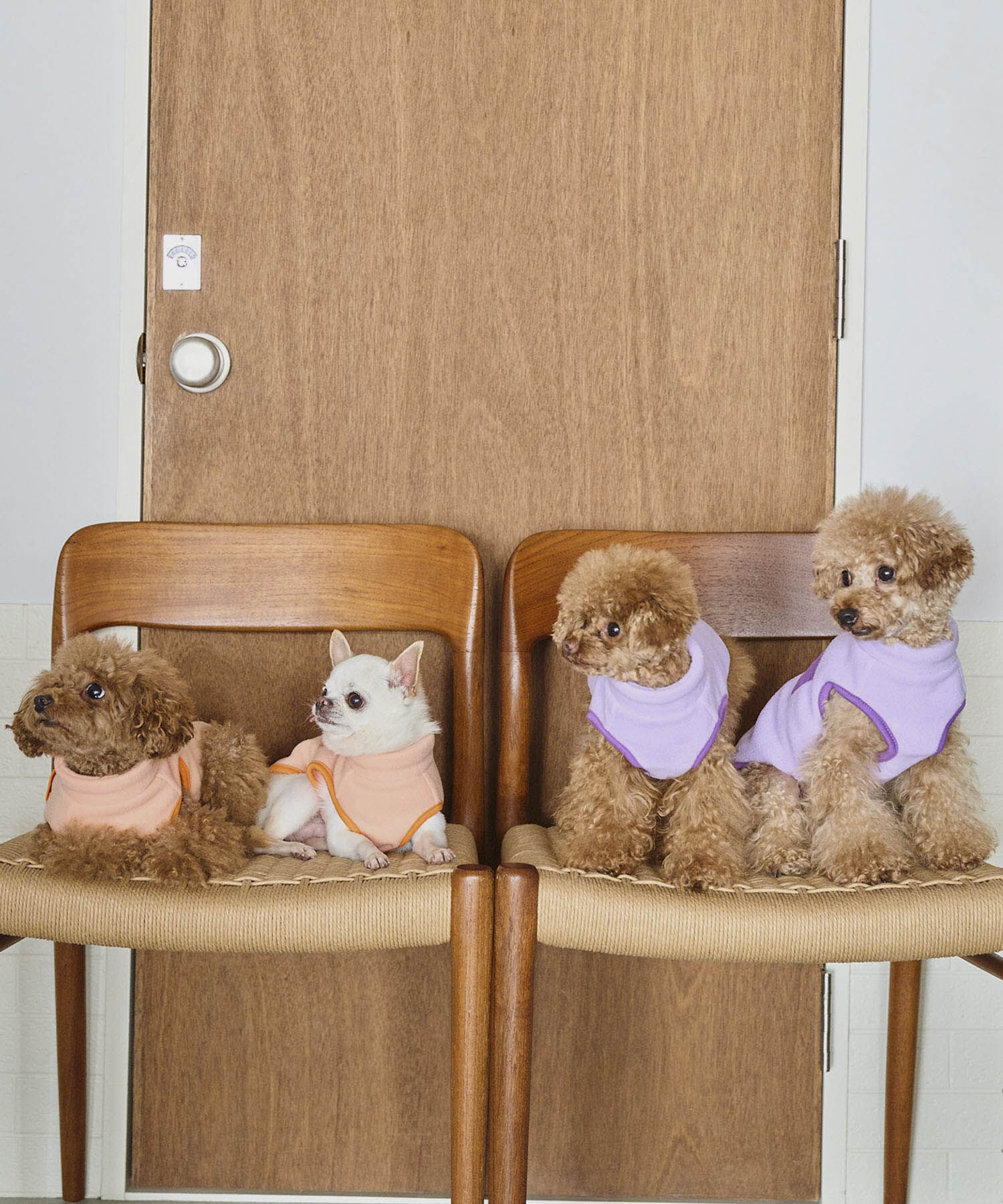 ROPE PICNIC PASSAGE「【DOG】カラーフリースベスト」|その他|