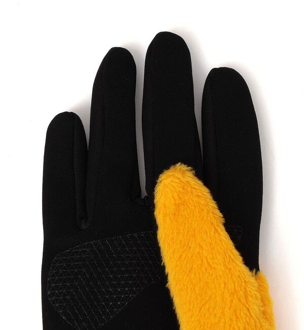 SHIPS any「THE NORTH FACE :DENALI ETIP フリース グローブ」|手袋|