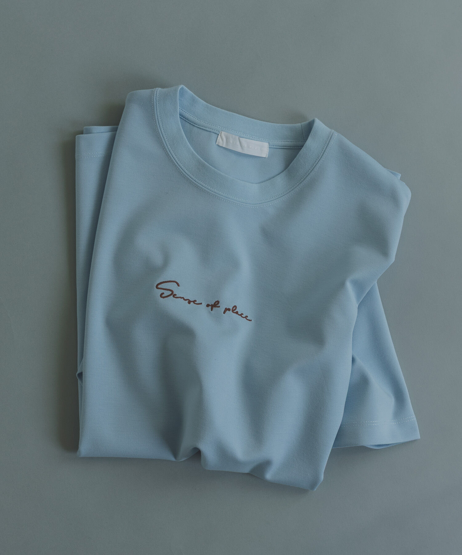 SENSE OF PLACE by URBAN RESEARCH「『一部WEB限定カラー』シシュウポンチショートスリーブTシャツ」|Tシャツ・カットソー|ライトブルー