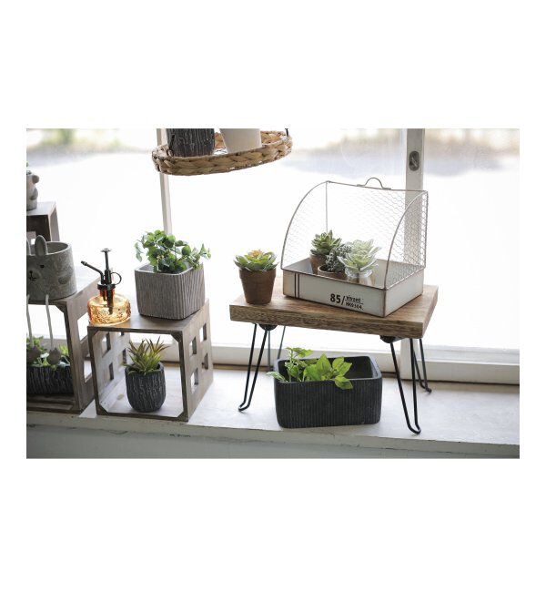 TOKYO DESIGN CHANNEL「ピエニ レクトスタンド」|その他|