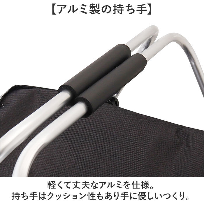 BACKYARD FAMILY「保冷バッグ 大容量 通販 クーラーバッグ カゴ用 折りたたみ 保冷 アウトドア キャンプ」|その他|