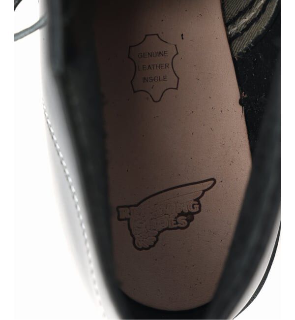 JOURNAL STANDARD「RED WING / レッドウイング 6インチ クラシックラウンド」|その他|