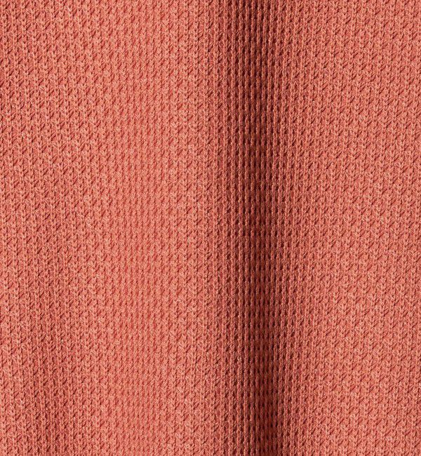 UNITED ARROWS green label relaxing「クリア ラッセル クルーネック カットソー」|Tシャツ・カットソー|