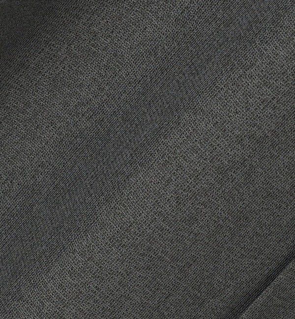 SHIPS Colors 「SHIPS Colors:〈洗濯機可能〉ジャージー ショートスリーブ シアーシャツ◇」|シャツ・ブラウス|