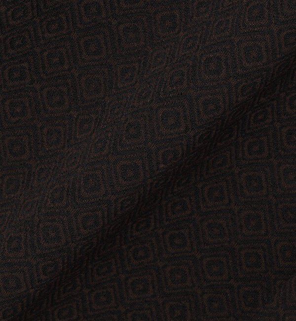 SHIPS Colors 「SHIPS Colors:〈洗濯機可能〉ジャージー ショートスリーブ シアーシャツ◇」|シャツ・ブラウス|