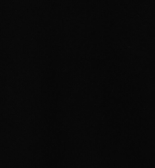 DES PRES「ウーステッドウールファインリブ タートルネックワンピース」|ワンピース|