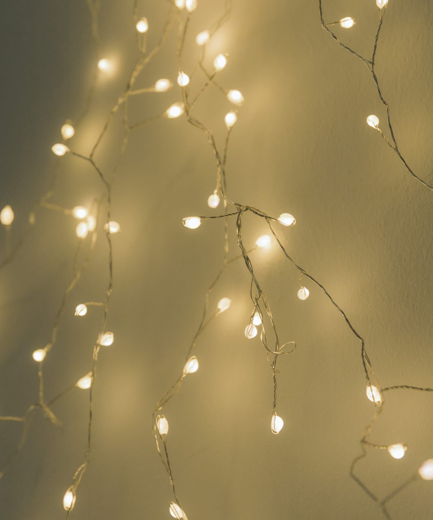 URBAN RESEARCH DOORS「『WEB限定』shesay　LEDデコレーションライトツリー 1.5m」|その他|