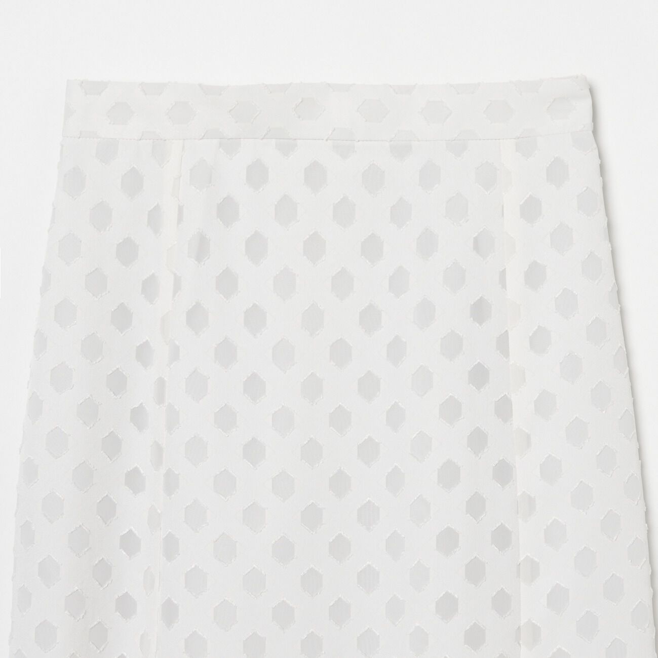 HELIOPOLE「HELIOPOLE CHIFFON CUT JACQUARD SK」|スカート|