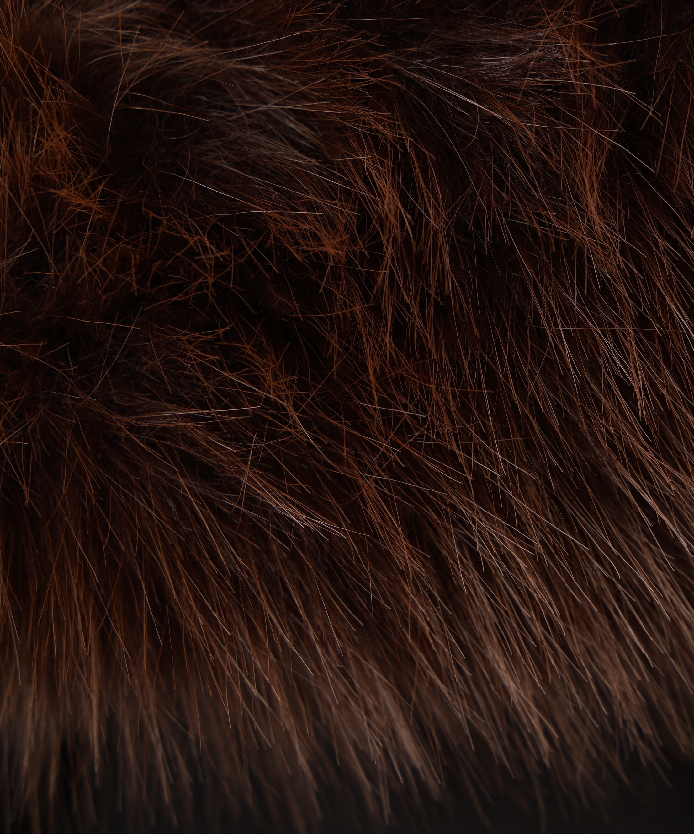 PROPORTION BODY DRESSING「ベルト付ダウン 25AW」|その他|