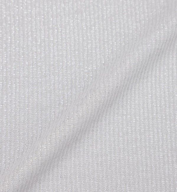  「ラメリブTシャツ」|Tシャツ・カットソー|