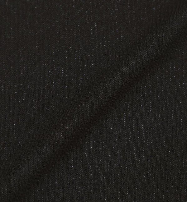  「ラメリブTシャツ」|Tシャツ・カットソー|