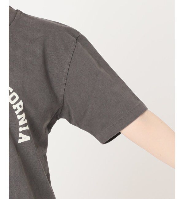 journal standard L'essage「《追加2》【MIXTA/ミクスタ】SO CAL DOG CREW   T-SHITS：Tシャツ」|Tシャツ・カットソー|