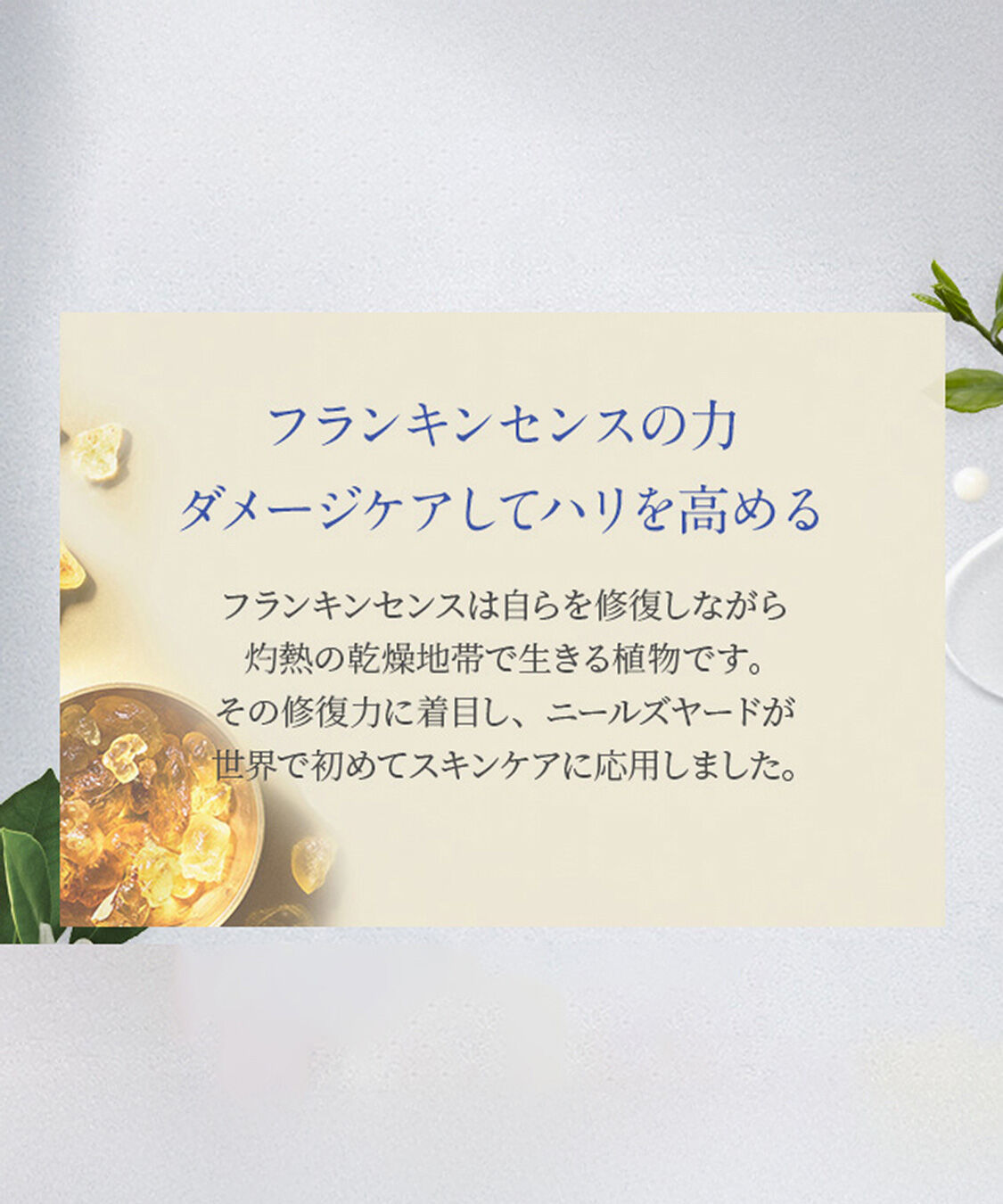 NEAL&rsquo;S YARD REMEDIES「フランキンセンス インテンスクリーム 50mL」|美容液・オイル・クリーム|