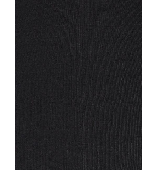 Ungrid「ハイネックシアーロングスリーブTee」|Tシャツ・カットソー|