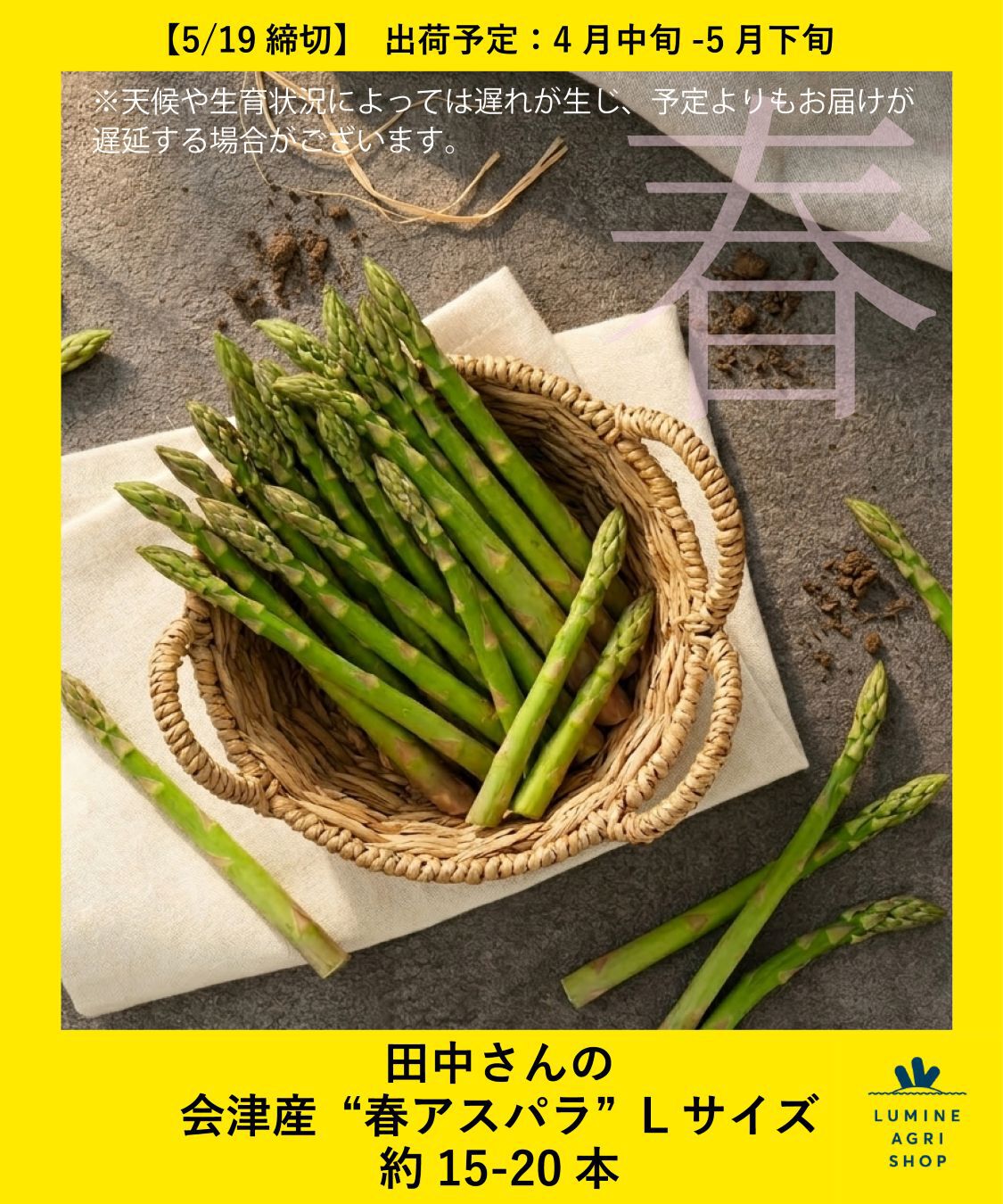 LUMINE AGRI SHOP「田中さんの会津産&ldquo;春アスパラ&rdquo;Lサイズ」|果物・野菜|その他