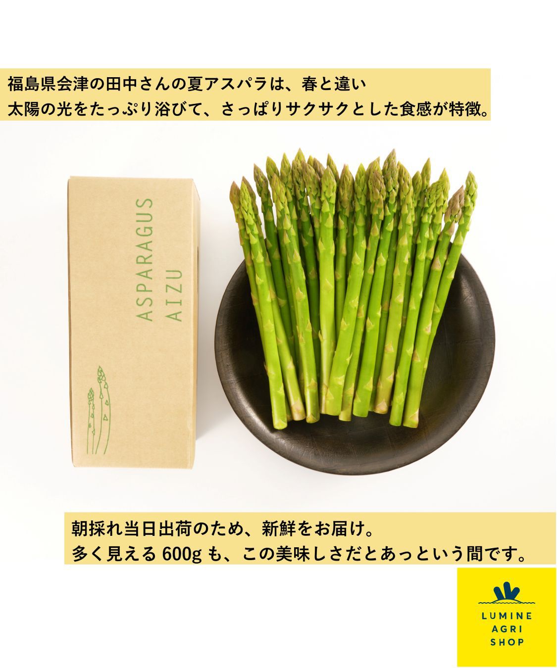 LUMINE AGRI SHOP「田中さんの会津産&ldquo;夏アスパラ&rdquo;Lサイズ」|果物・野菜|
