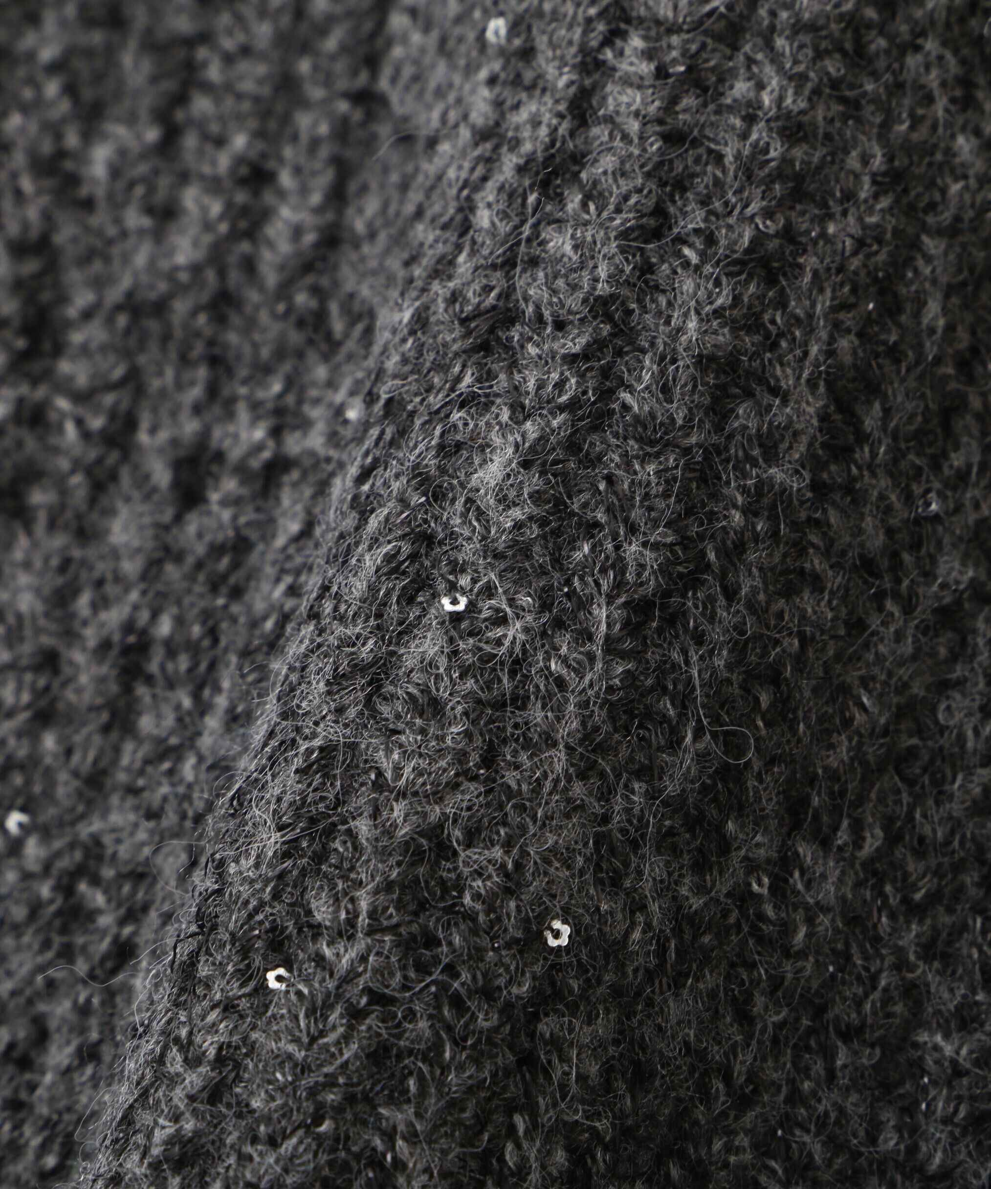 PROPORTION BODY DRESSING「スパンコール畦ニット WEB限定カラー：ブルー　24AW」|ニット・セーター|