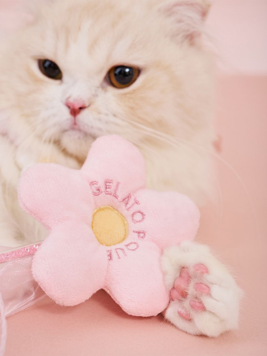  GELATO PIQUE CAT&DOG「【CAT&DOG】フラワーモチーフねこじゃらし」|その他|