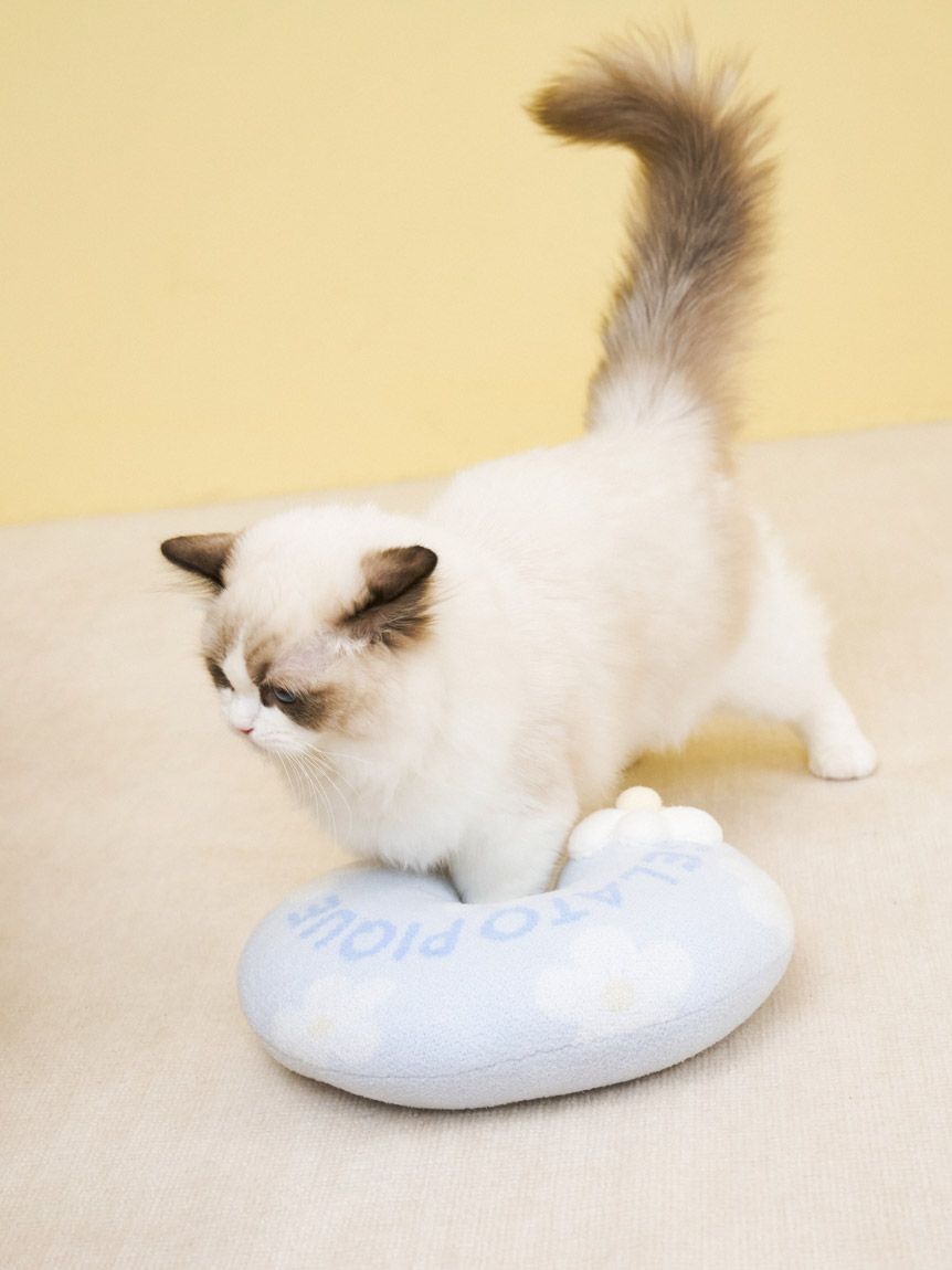  GELATO PIQUE CAT&DOG「【CAT&DOG】スムーズィーフラワーモチーフニットピロー」|その他|