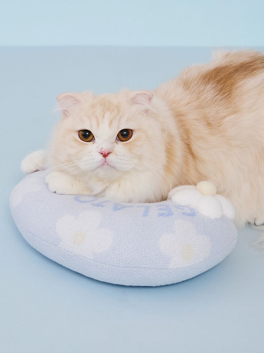  GELATO PIQUE CAT&DOG「【CAT&DOG】スムーズィーフラワーモチーフニットピロー」|その他|