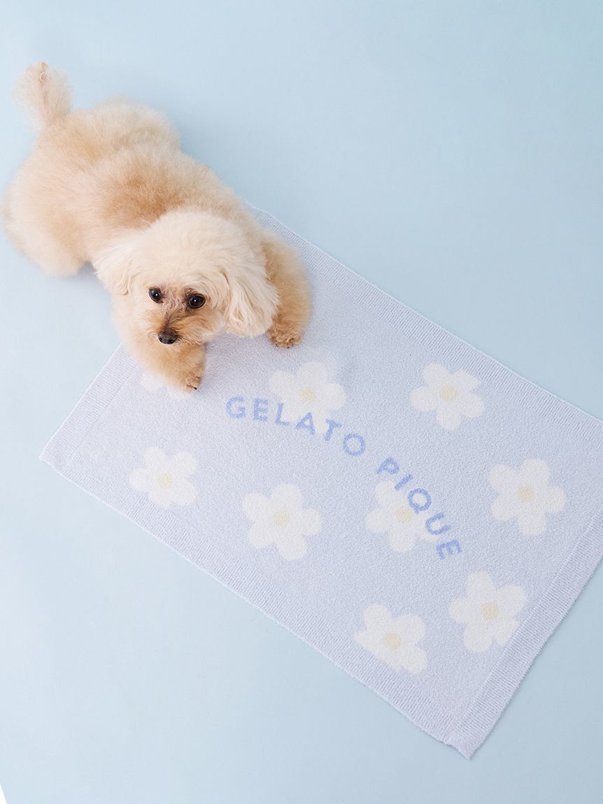  GELATO PIQUE CAT&DOG「【CAT&DOG】スムーズィーフラワージャガードブランケット」|その他|